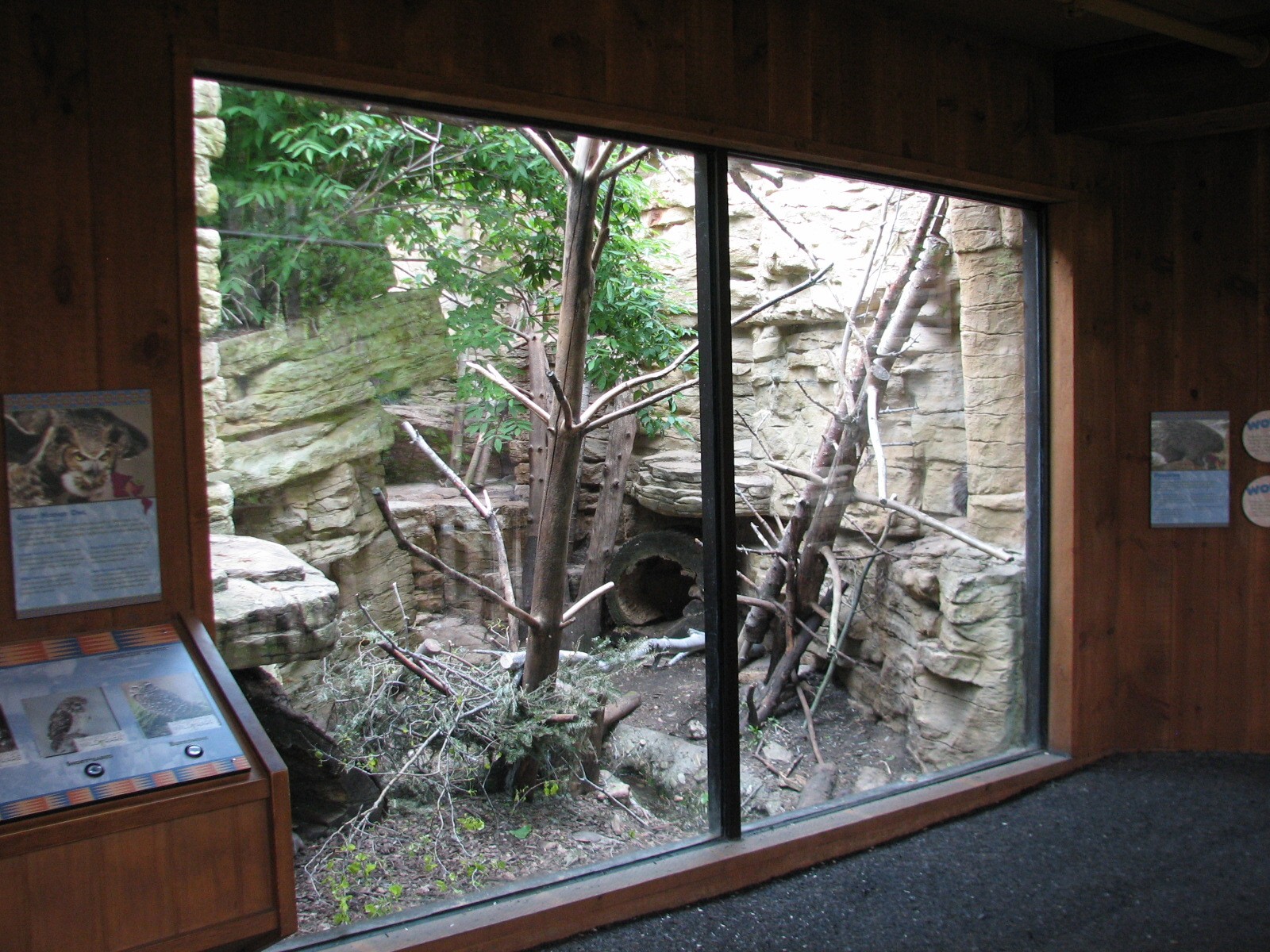 Minnesota Trail - Porcupine and Great Horned Owl Exhibit