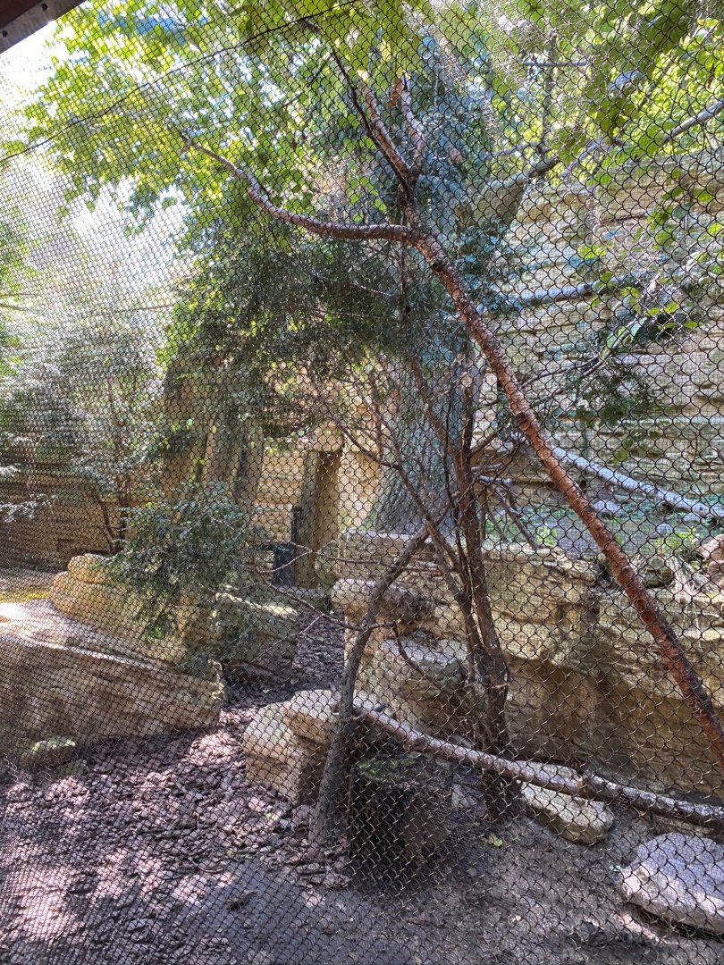 Minnesota trail- red fox exhibit