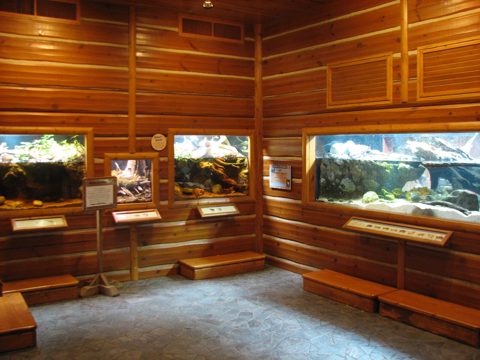 Minnesota Trail - Reptile and Amphibian Exhibits