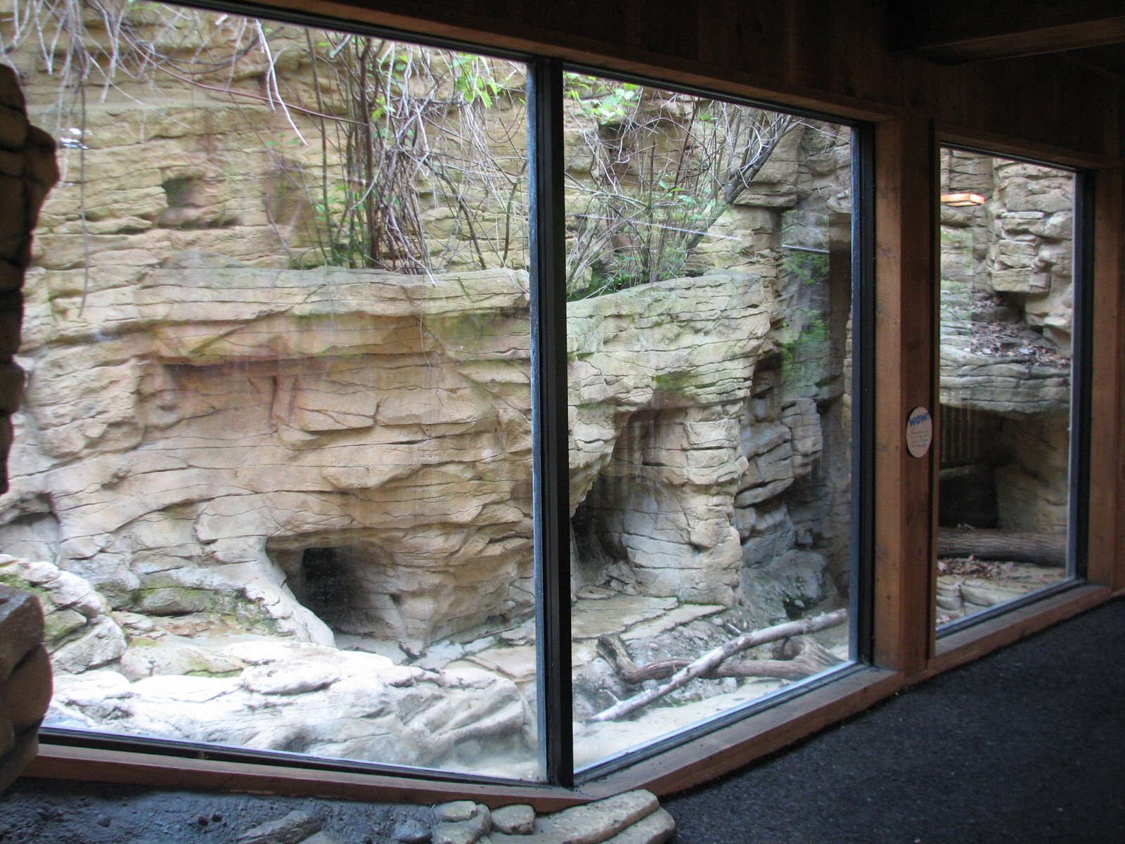 Minnesota Trail - River Otter Exhibit