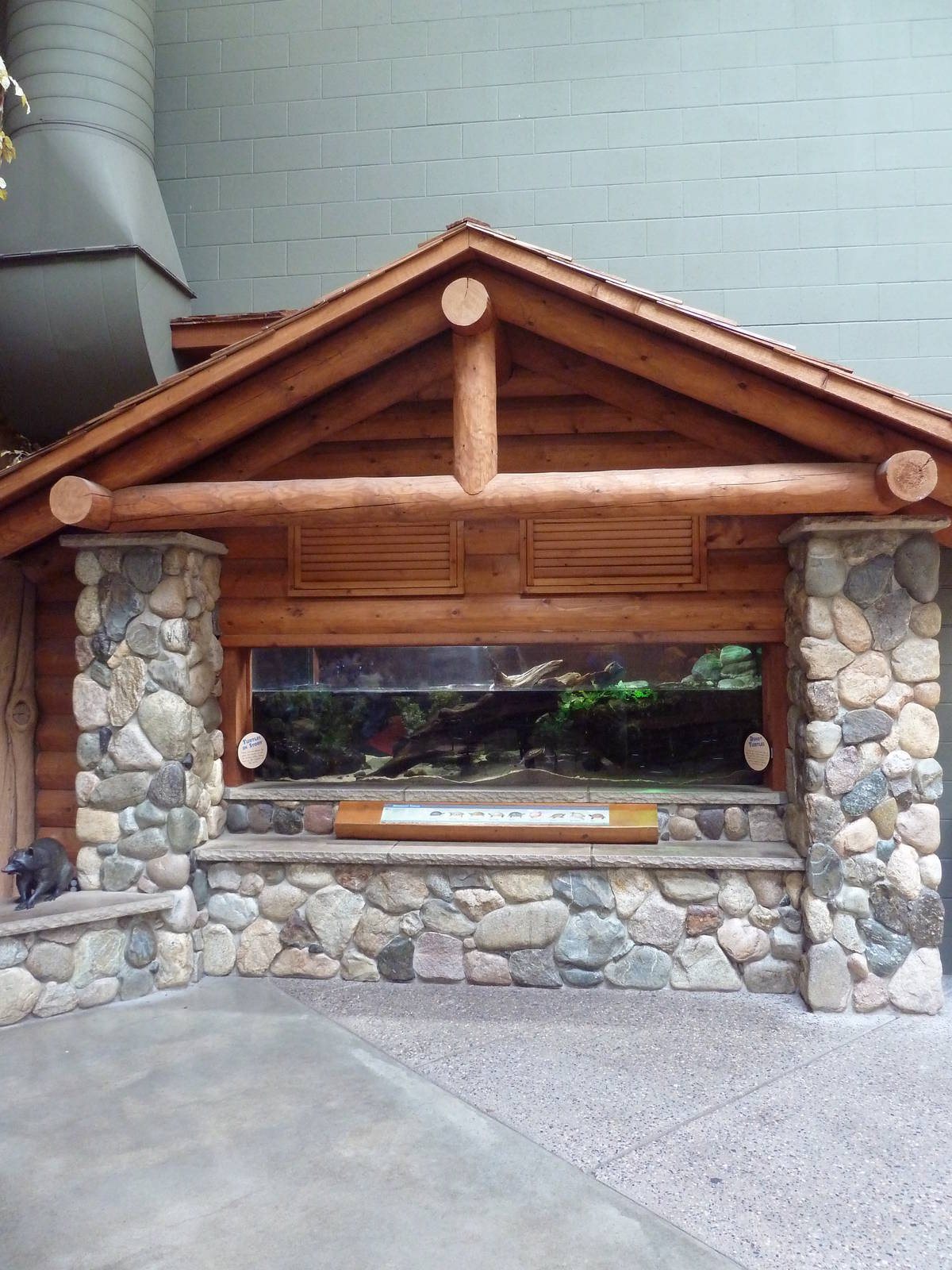 Minnesota Trail - Turtle Exhibit