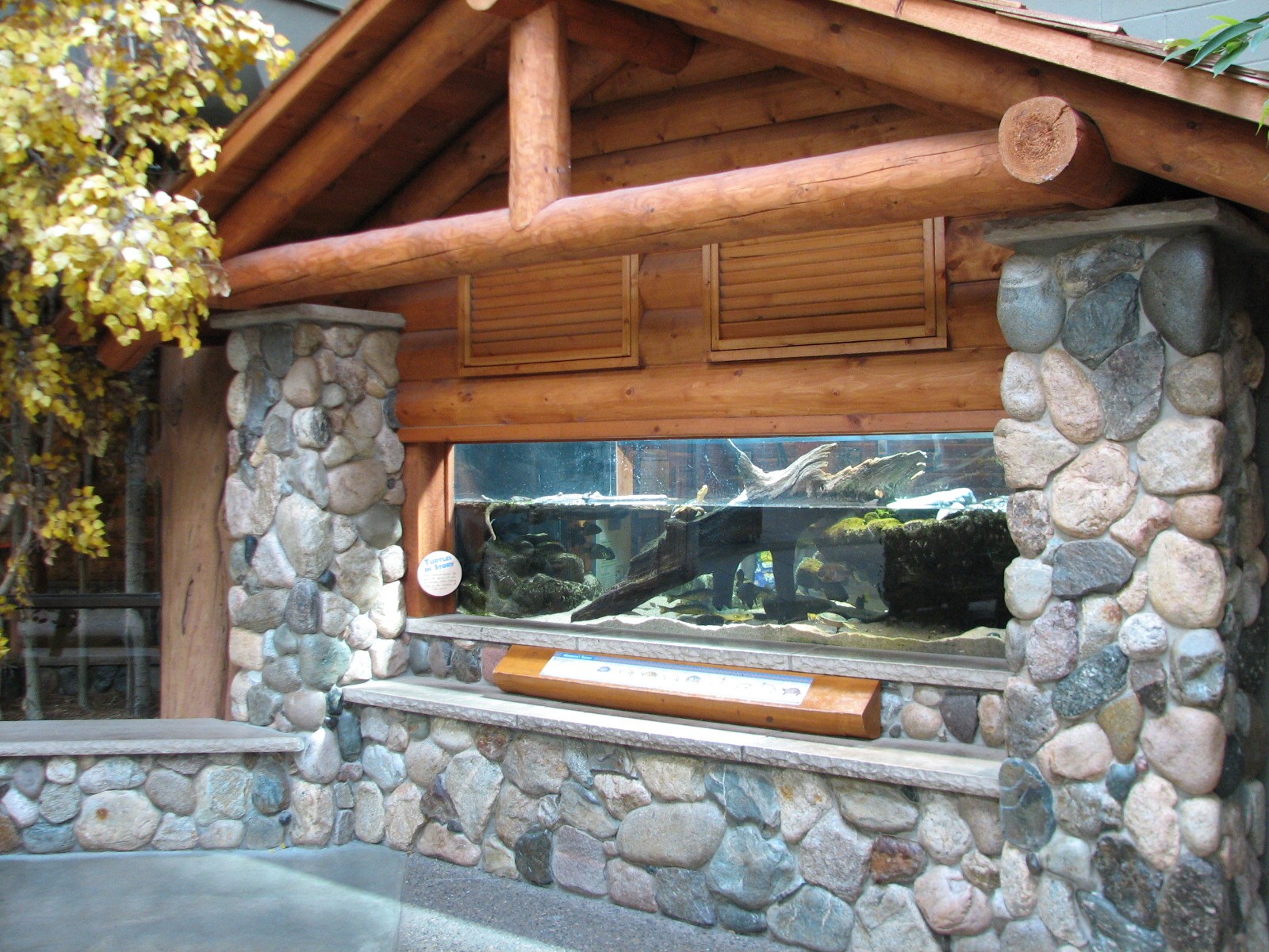 Minnesota Trail - Turtle Exhibit