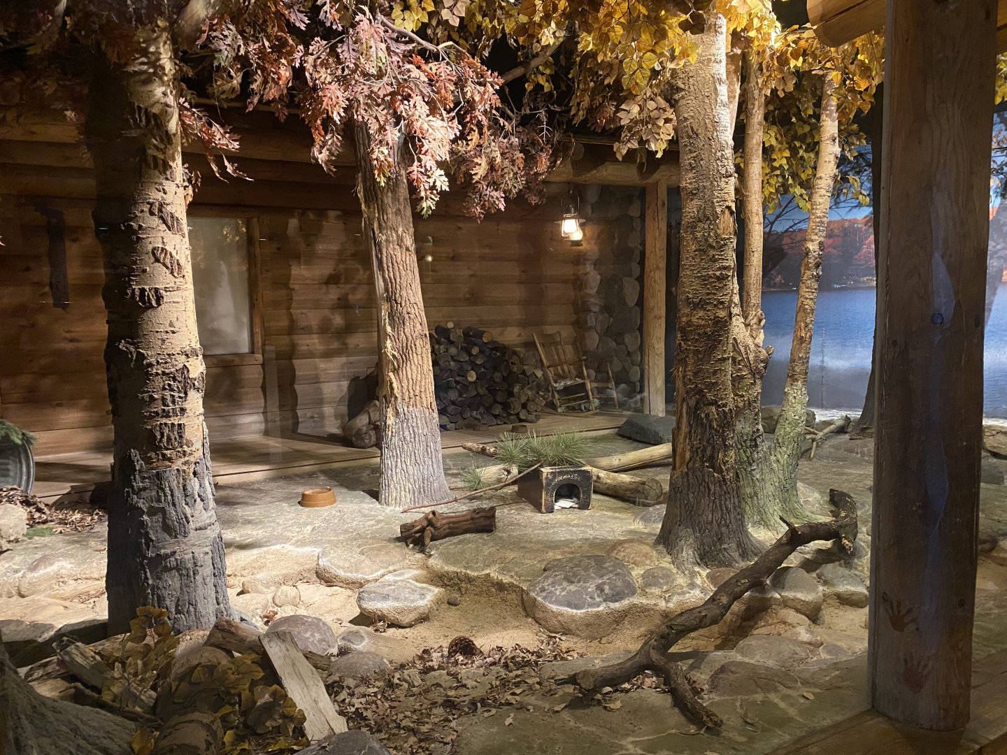 Minnesota Trail - Virginia Opossum/Striped Skunk Exhibit