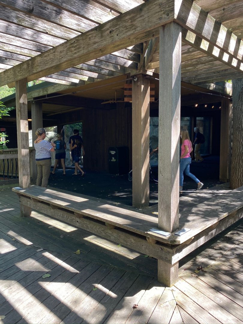 Minnesota trail- wild bird boardwalk