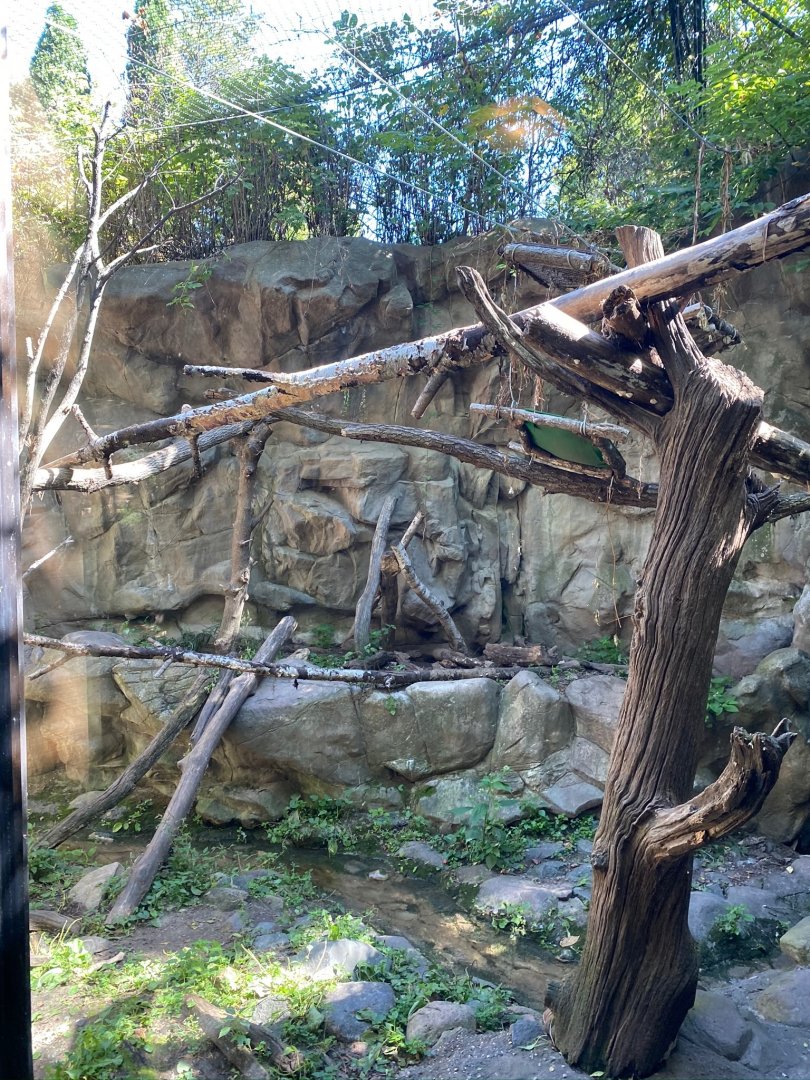 Minnesota trail- wolverine exhibit #2