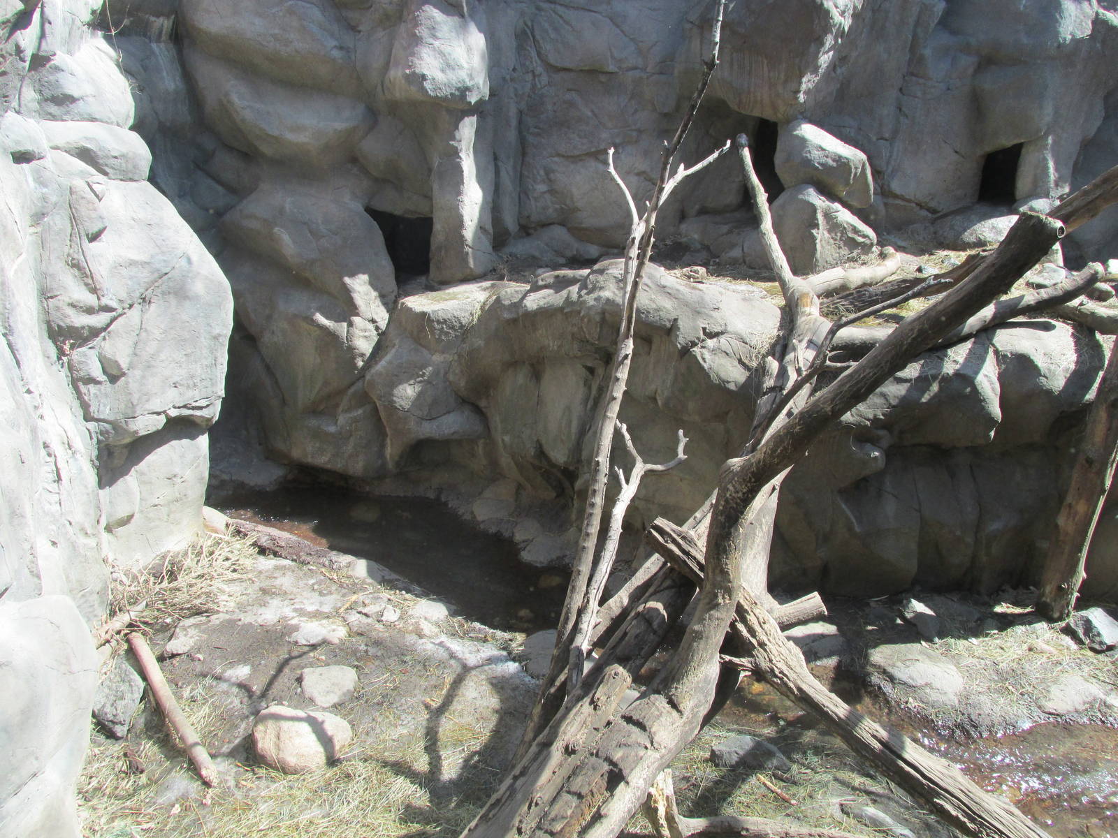 Minnesota Trail Wolverine Exhibit