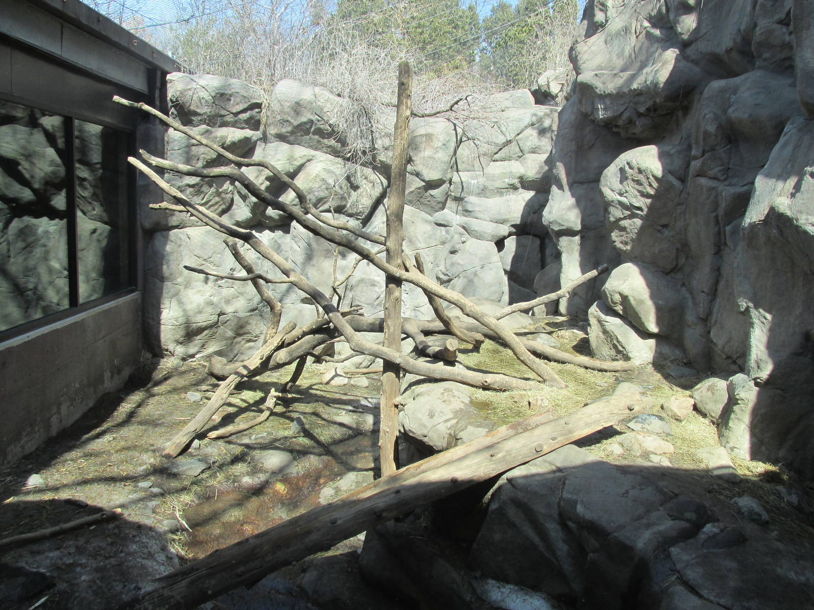 Minnesota Trail Wolverine Exhibit