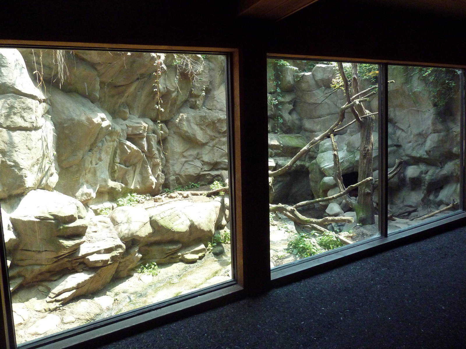 Minnesota Trail - Wolverine Exhibit