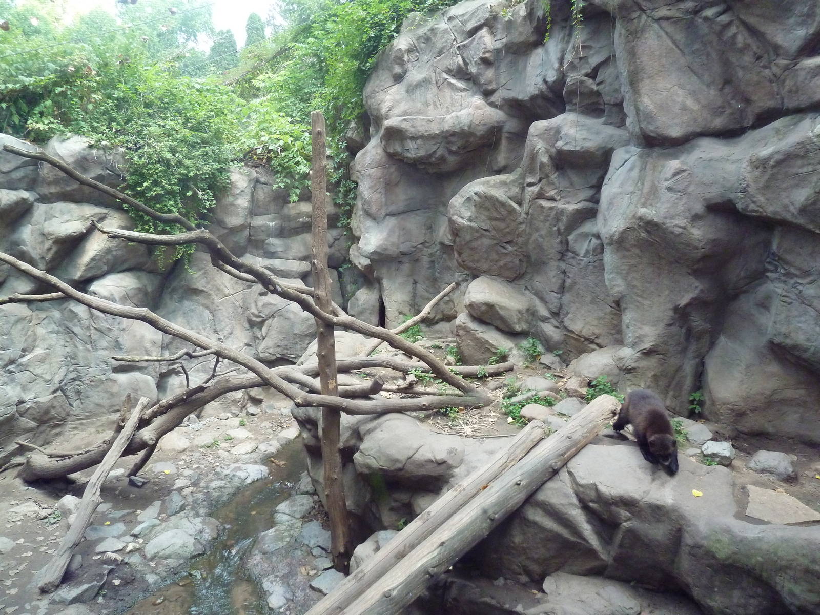 Minnesota Trail - Wolverine Exhibit