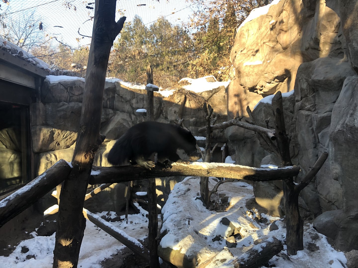 Minnesota Trail - Wolverine Exhibit