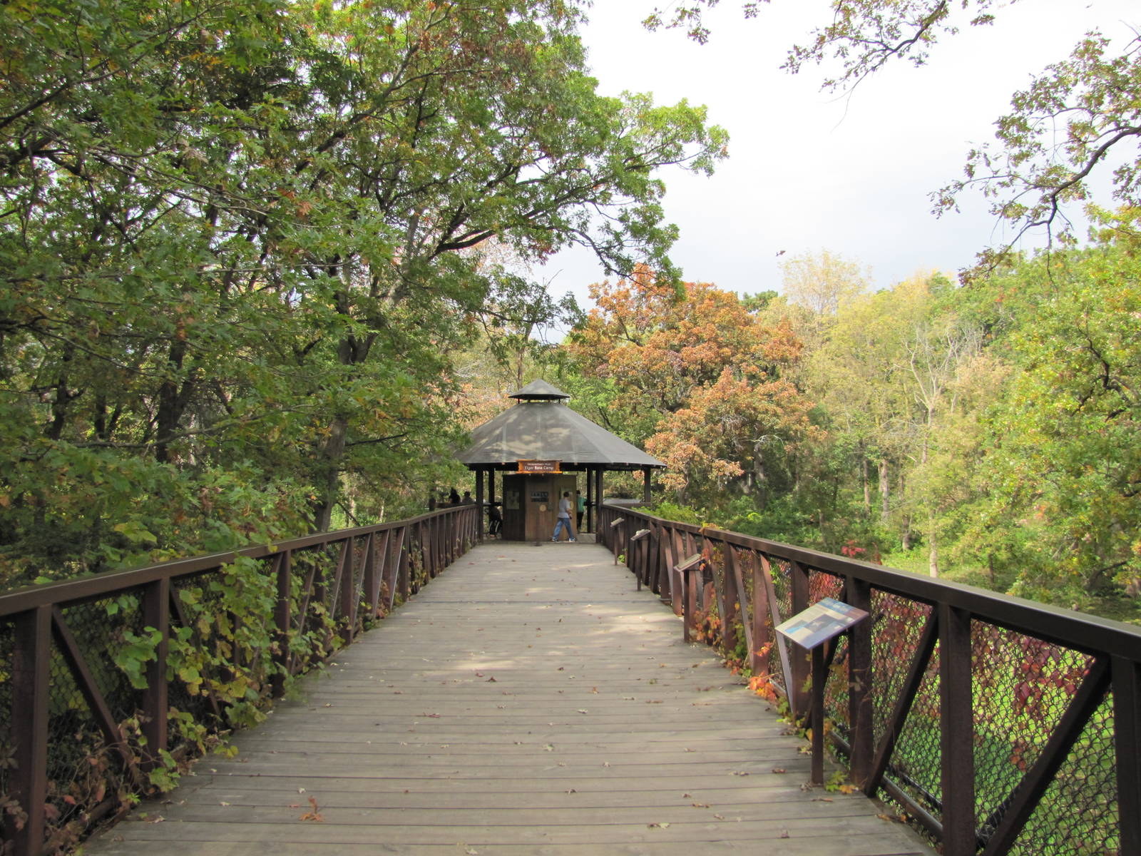 Minnesota Zoo 2010 - Bridgewalk to Amur Tiger viewing point