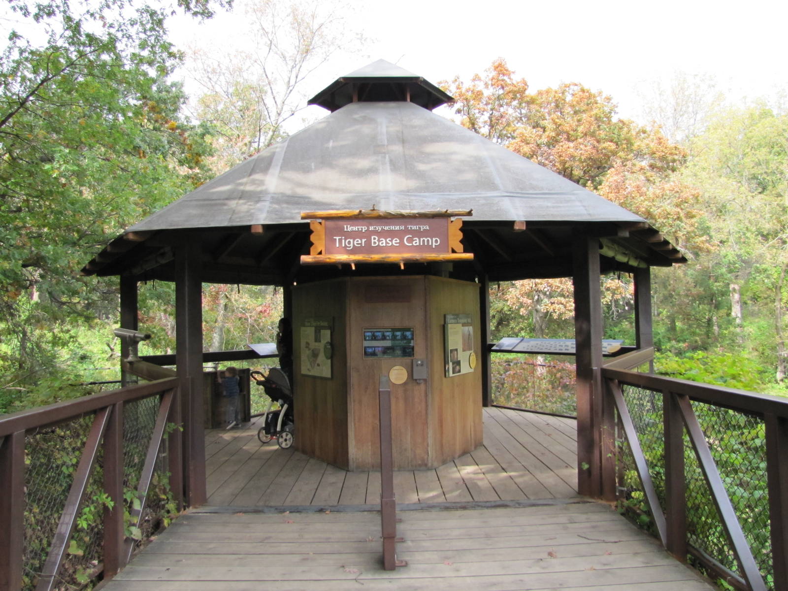 Minnesota Zoo 2010 - Close-up of Amur Tiger viewing point