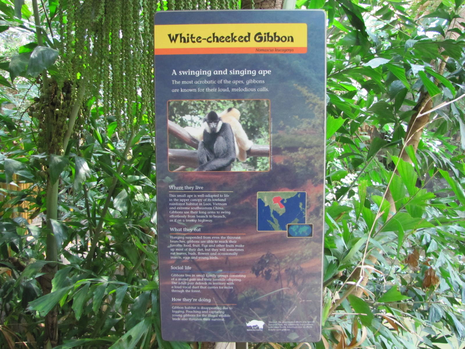 Minnesota Zoo 2010 - Example of Tropics Trail signage