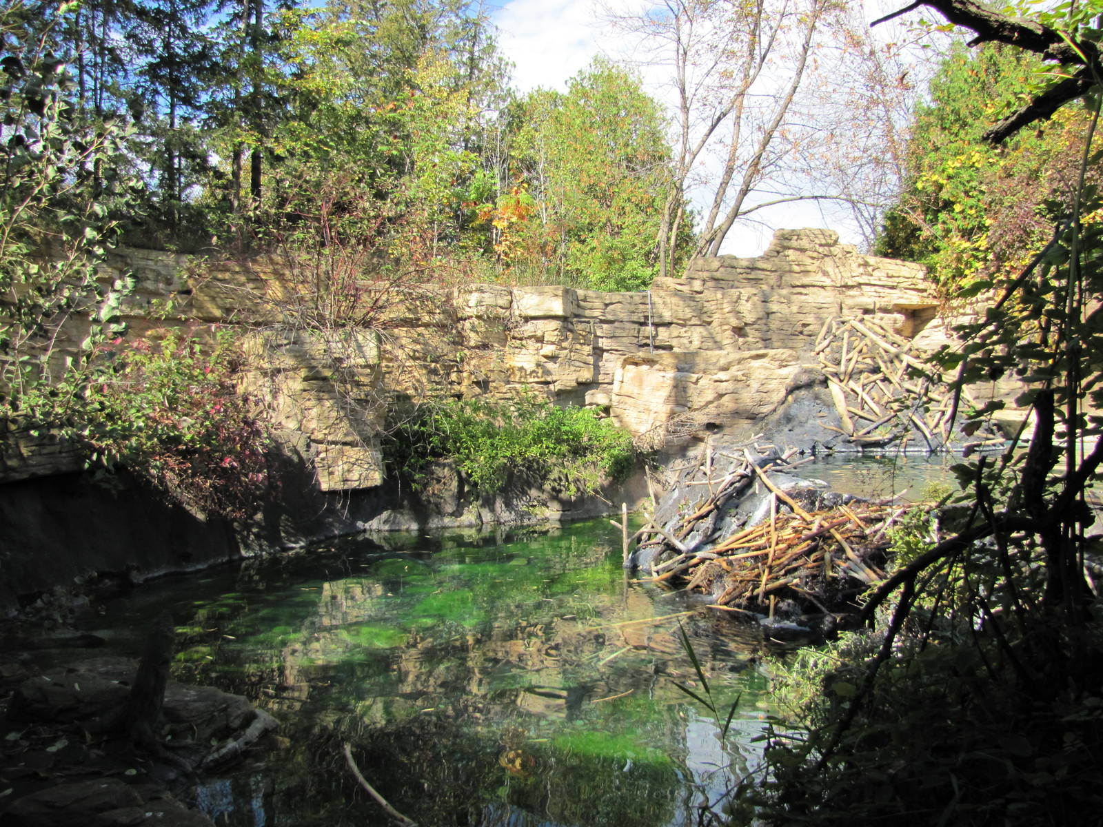 Minnesota Zoo 2010 - First part of American Beaver exhibit in Minnesota Tra