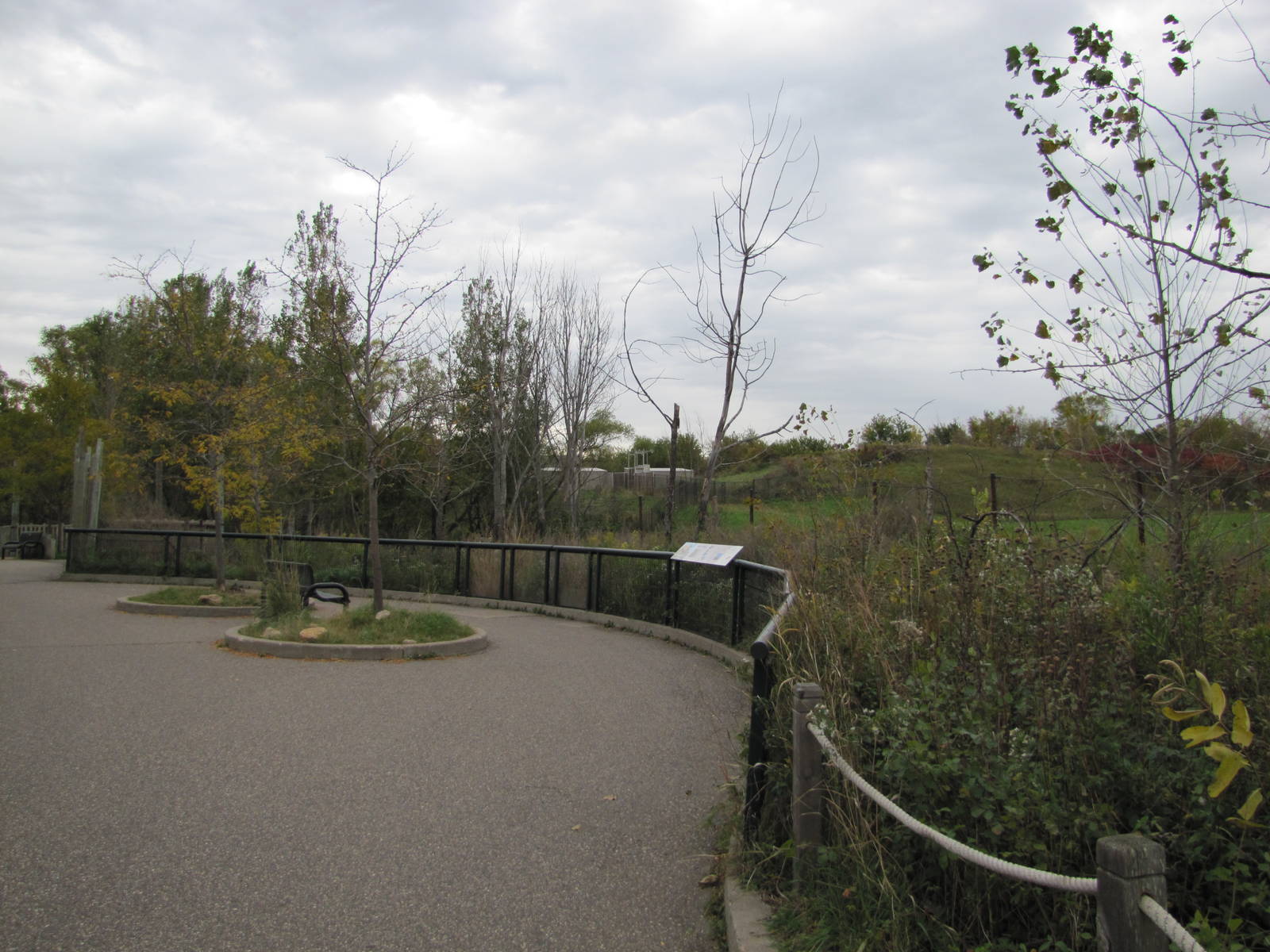 Minnesota Zoo 2010 - Front of Bactrian Camel exhibit