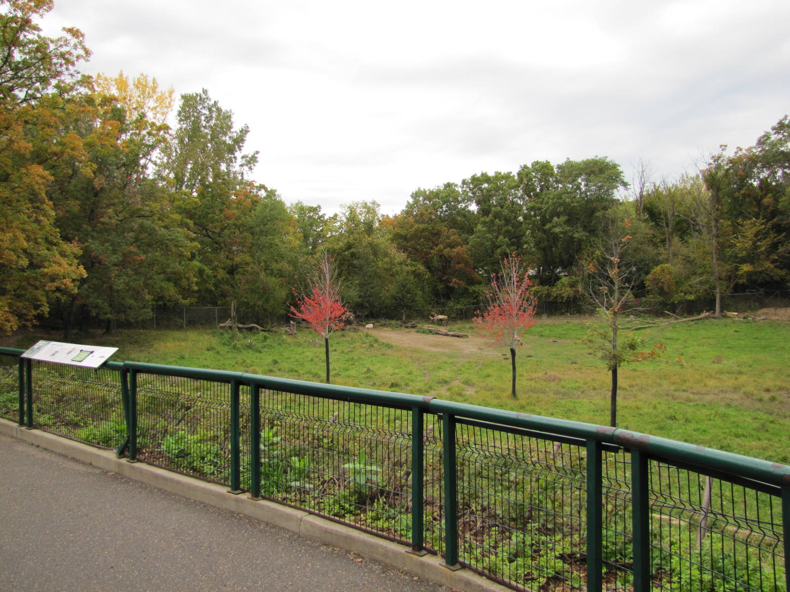 Minnesota Zoo 2010 - Front of Caribou exhibit