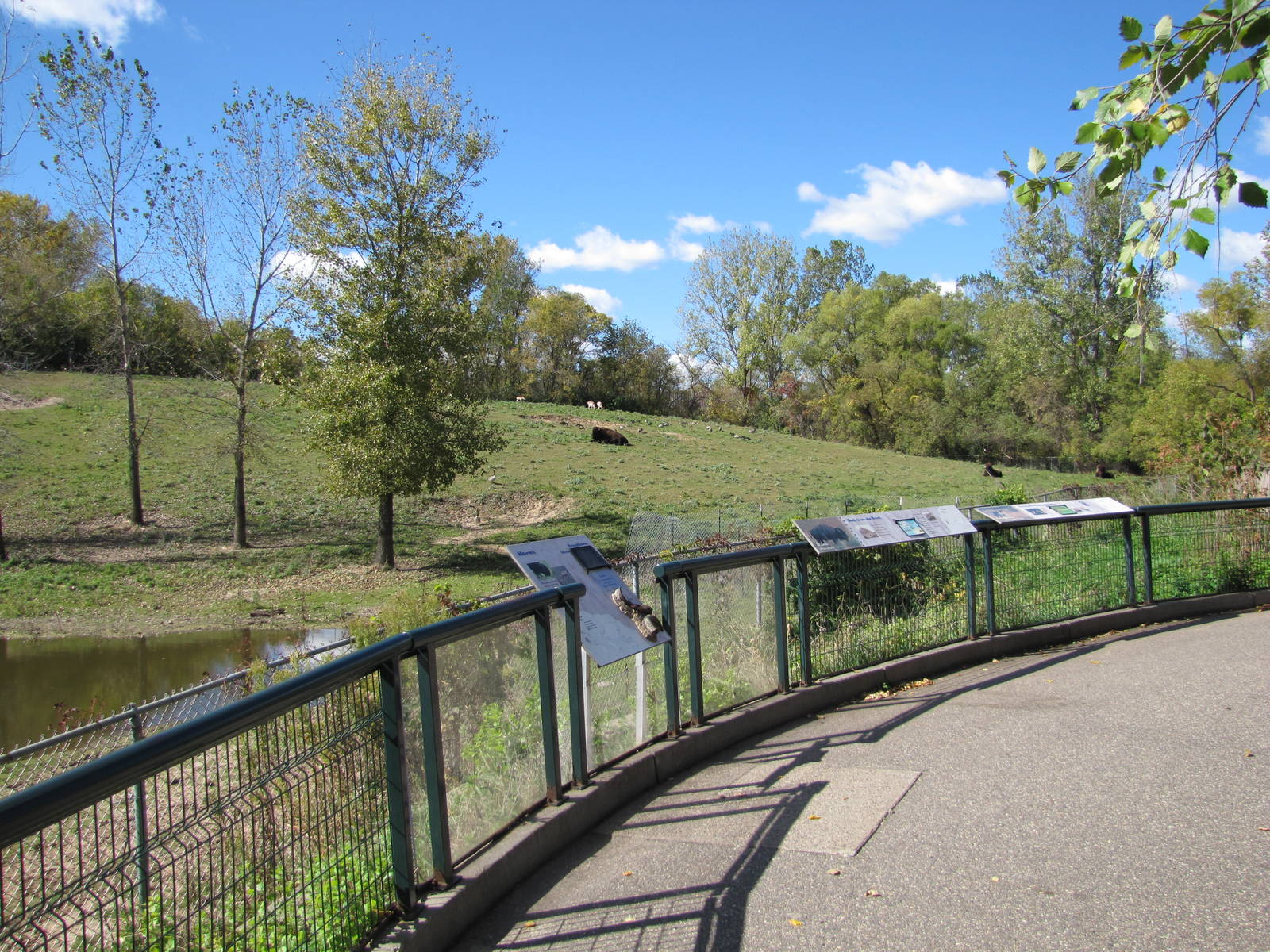 Minnesota Zoo 2010 - Front of massive American Bison and Pronghorn exhibit