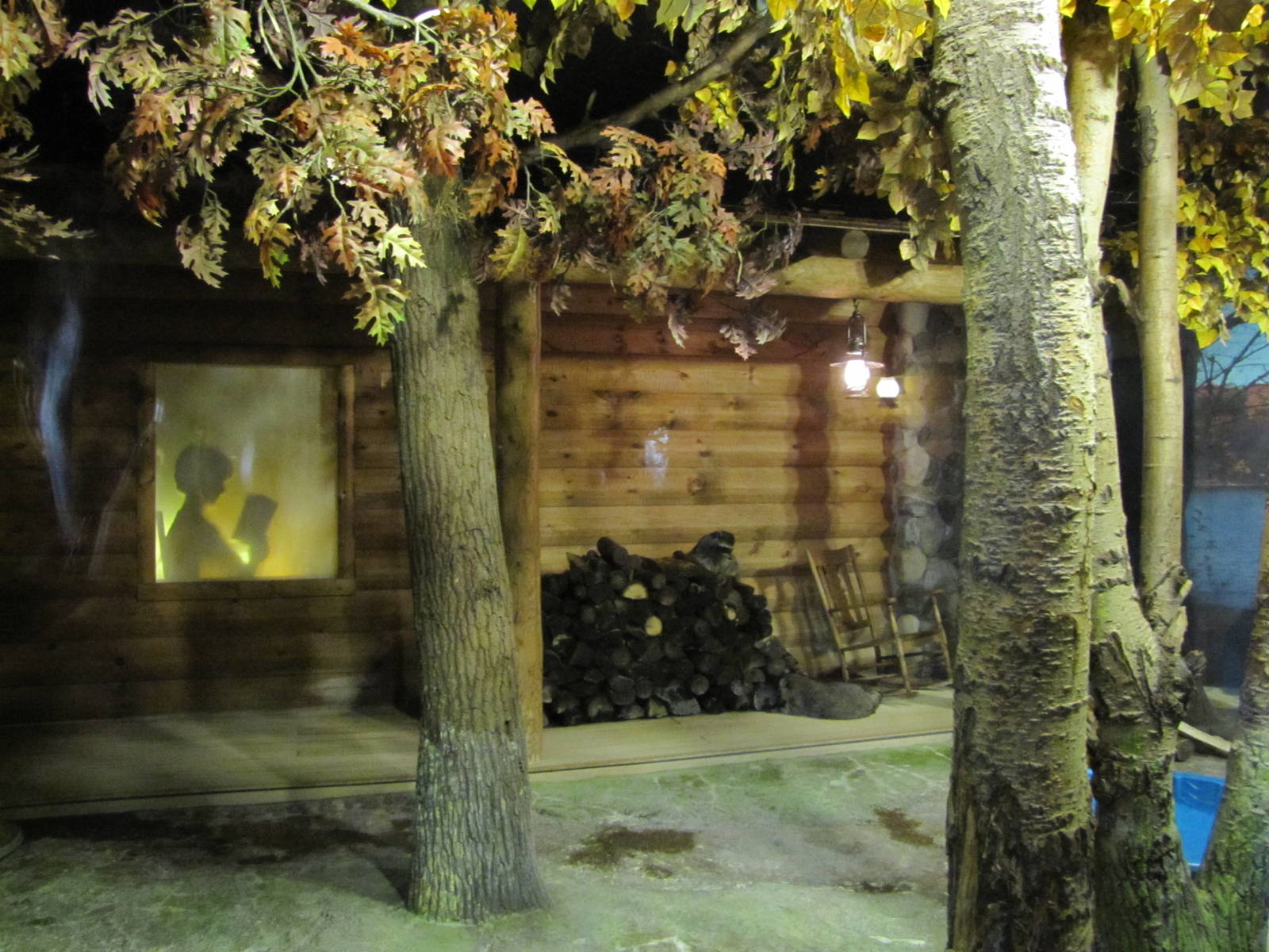 Minnesota Zoo 2010 - Inside Raccoon exhibit in Minnesota Trail