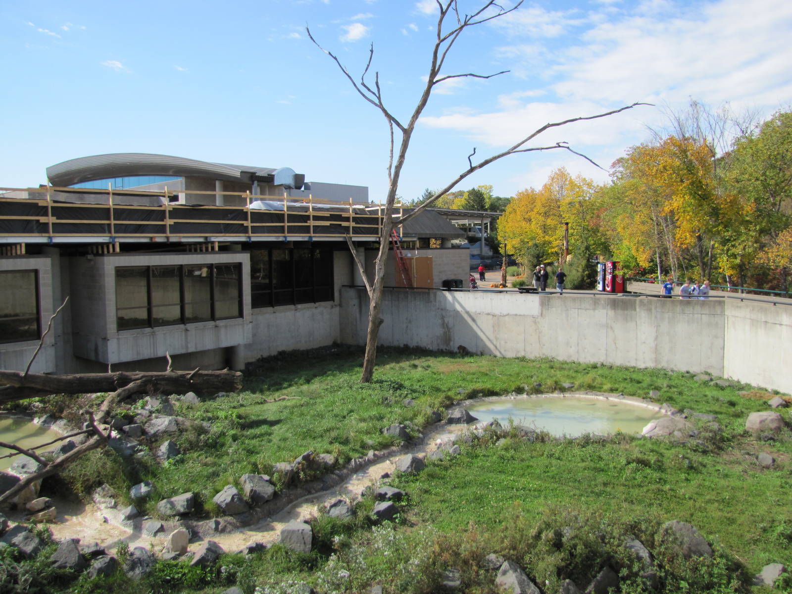 Minnesota Zoo 2010 - Japanese Macaque exhibit from the back