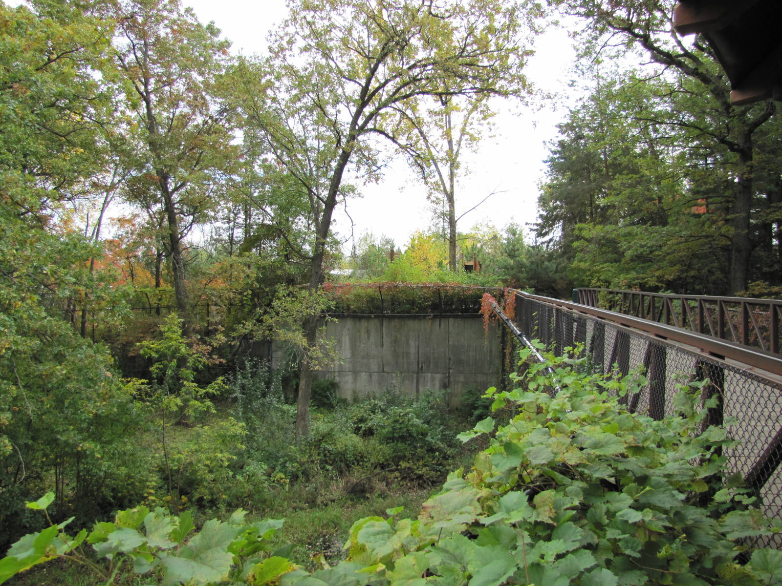 Minnesota Zoo 2010 - Look from Amur Tiger viewing point towards pathway