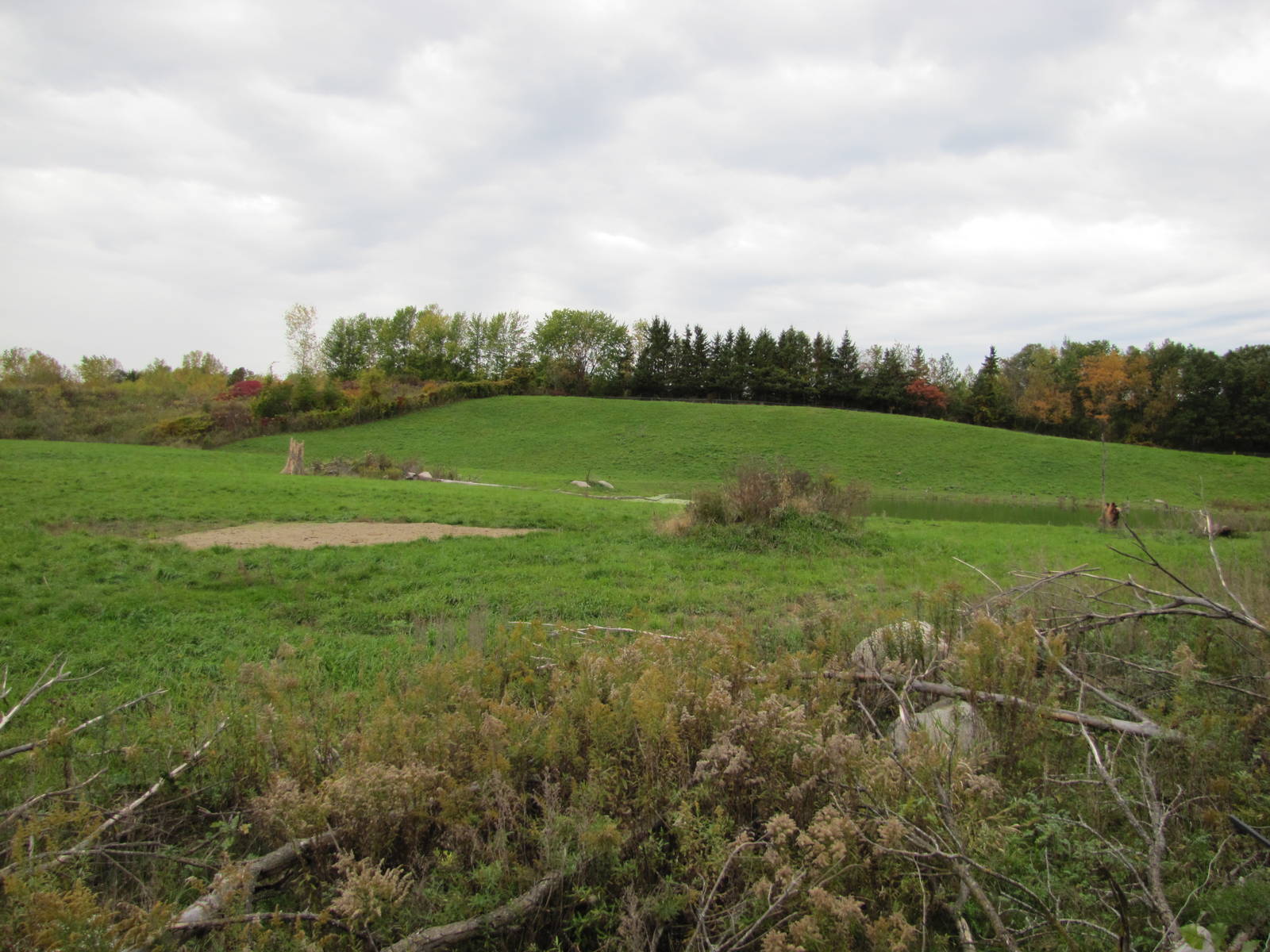 Minnesota Zoo 2010 - Massive Bactrian Camel exhibit