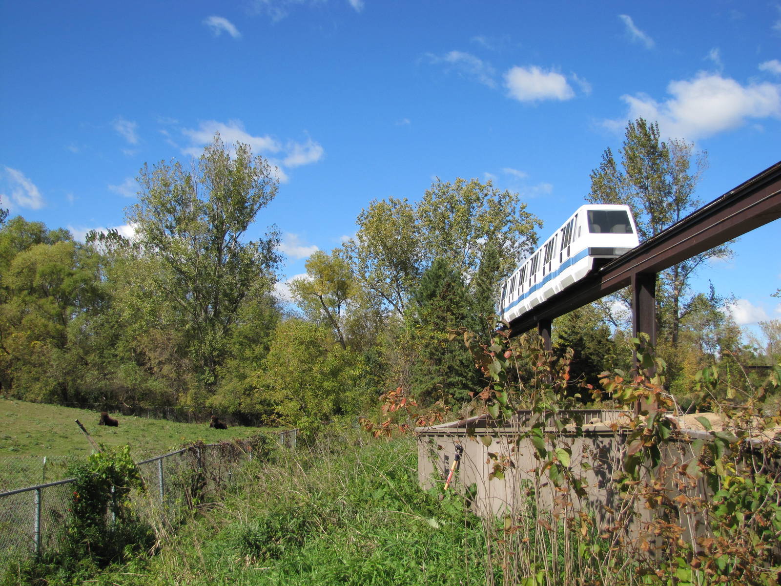 Minnesota Zoo 2010 - Monorail passes American Bison exhibit