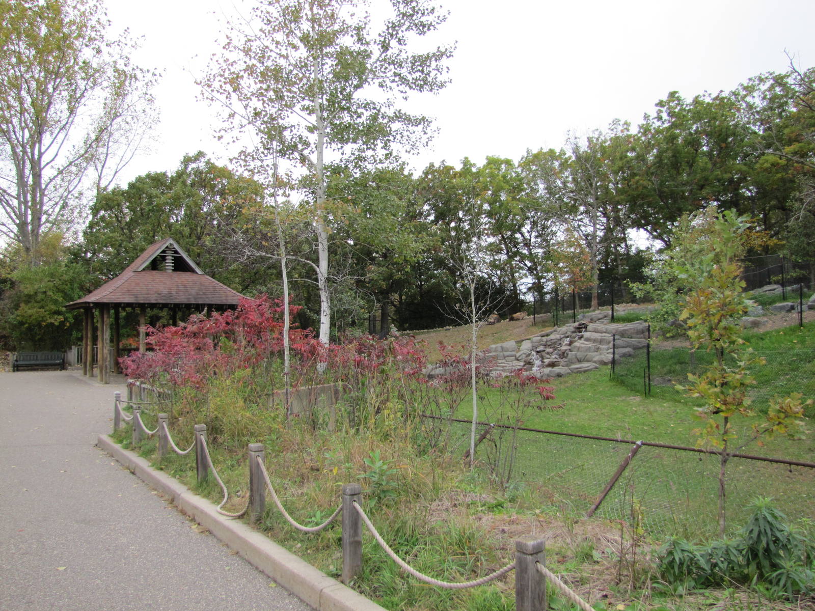 Minnesota Zoo 2010 - One side of Sichuan Takin exhibit