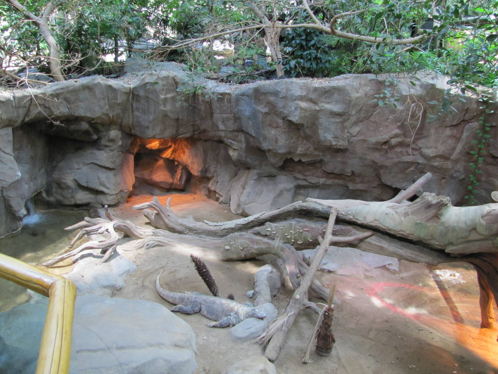 Minnesota Zoo 2010 - Part of Komodo Dragon exhibit inside Tropics Trail