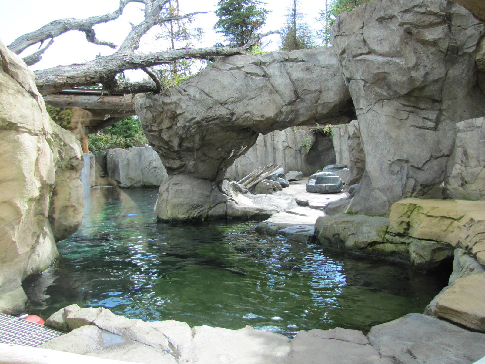 Minnesota Zoo 2010 - Part of the Sea Otter exhibit in Grizzly Coast