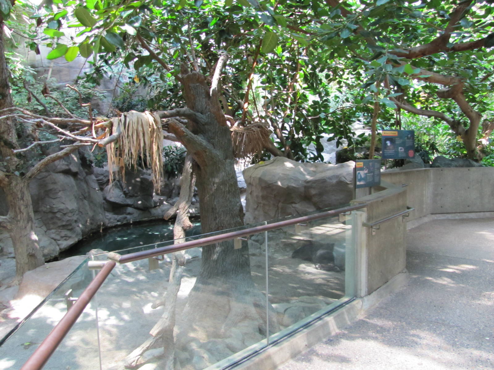 Minnesota Zoo 2010 - Right part of mixed exhibit for Malayan Tapir and Bint