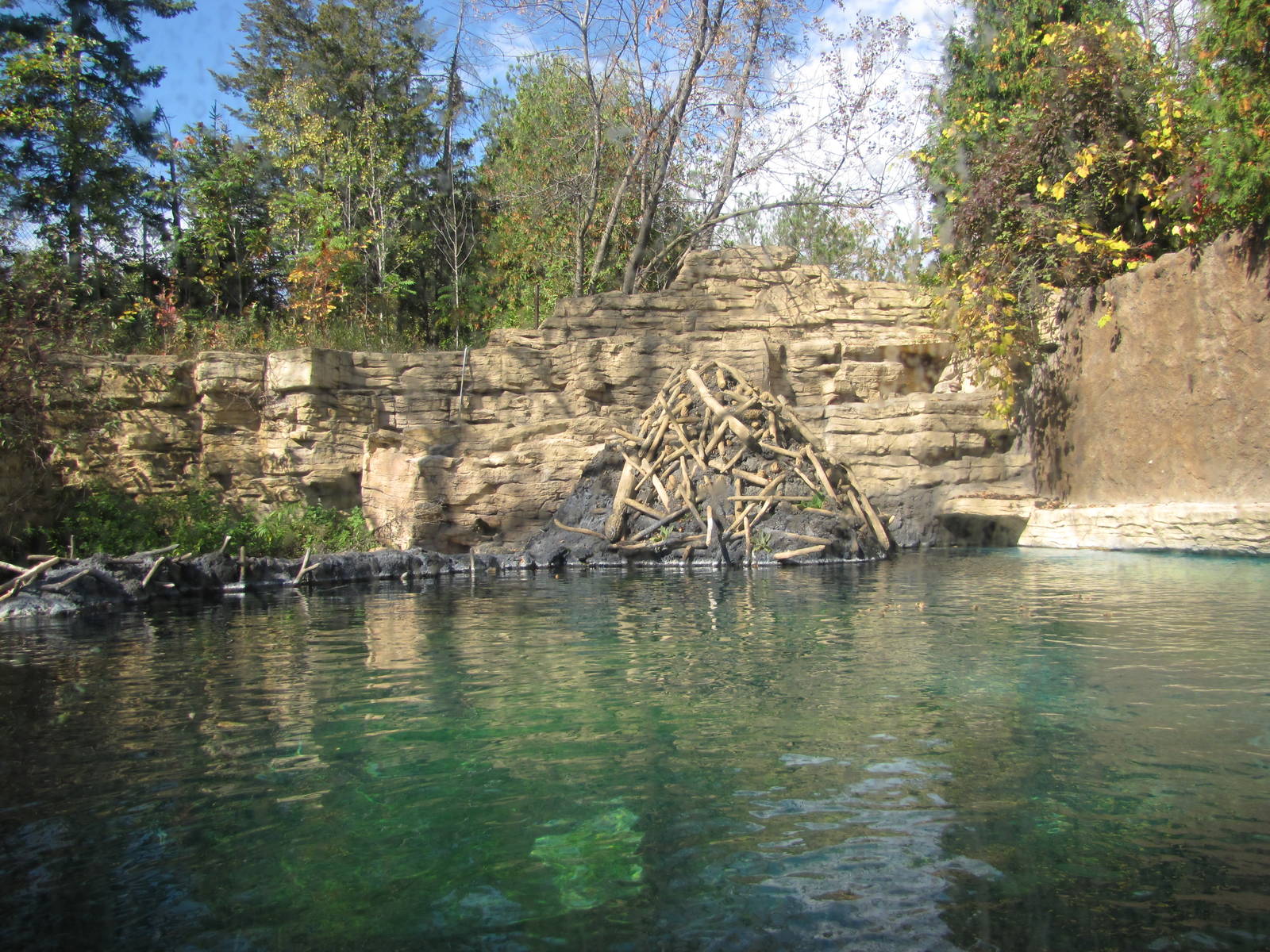Minnesota Zoo 2010 - Second part of American Beaver exhibit in Minnesota Tr