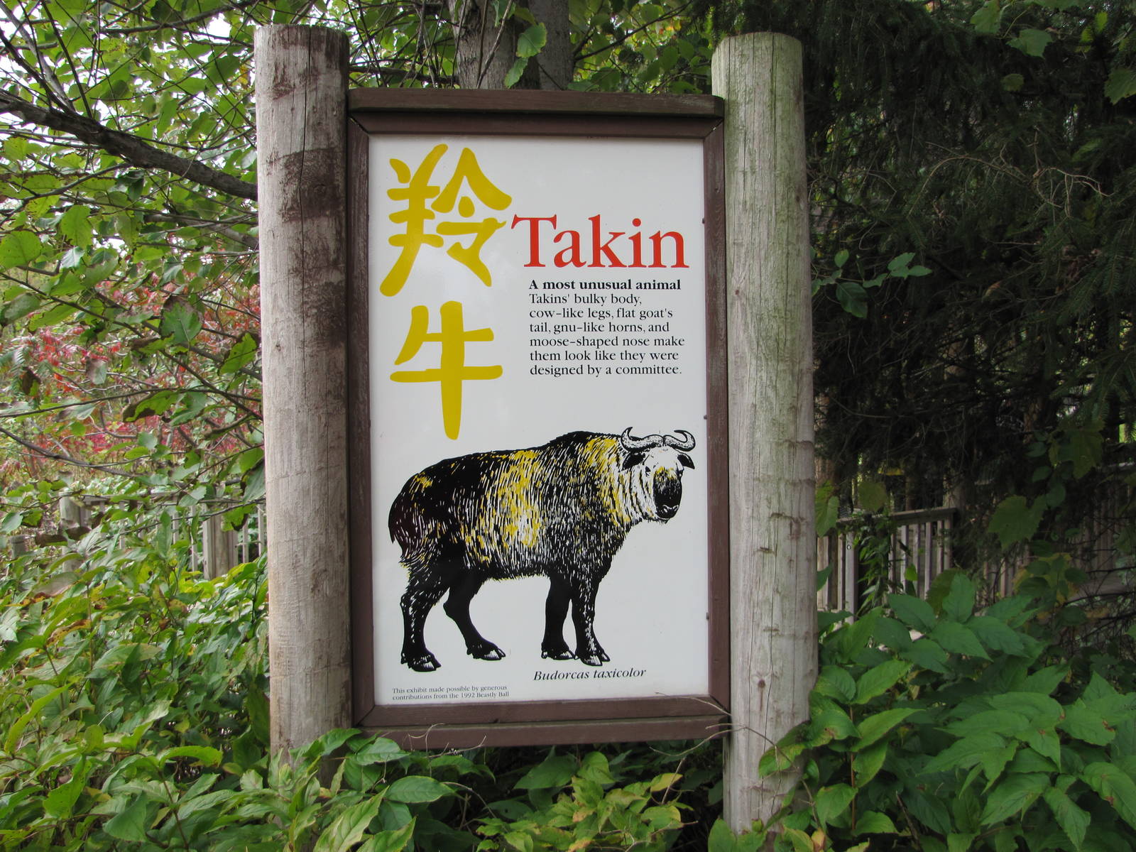 Minnesota Zoo 2010 - Sichuan Takin exhibit signage