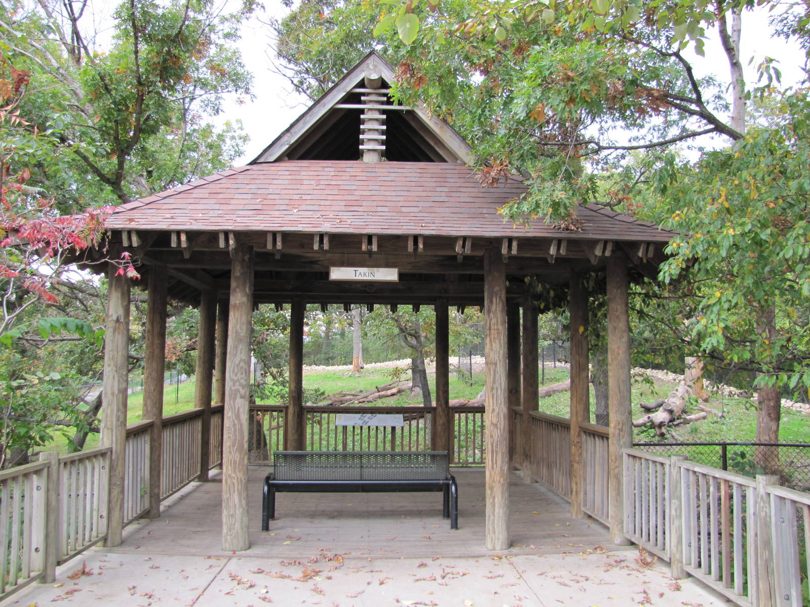 Minnesota Zoo 2010 - Sichuan Takin viewing point