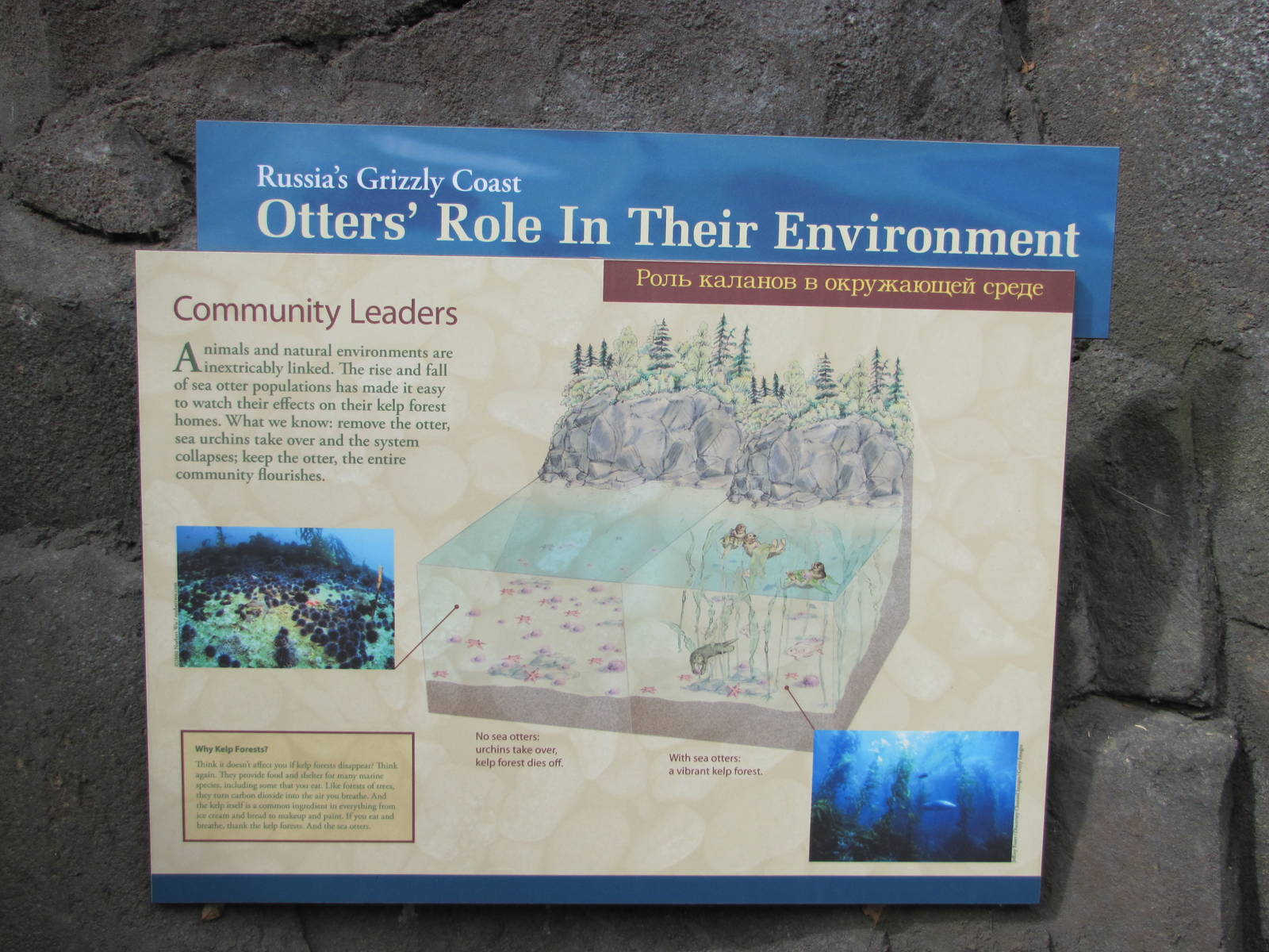 Minnesota Zoo 2010 - Signage example in Grizzly Coast