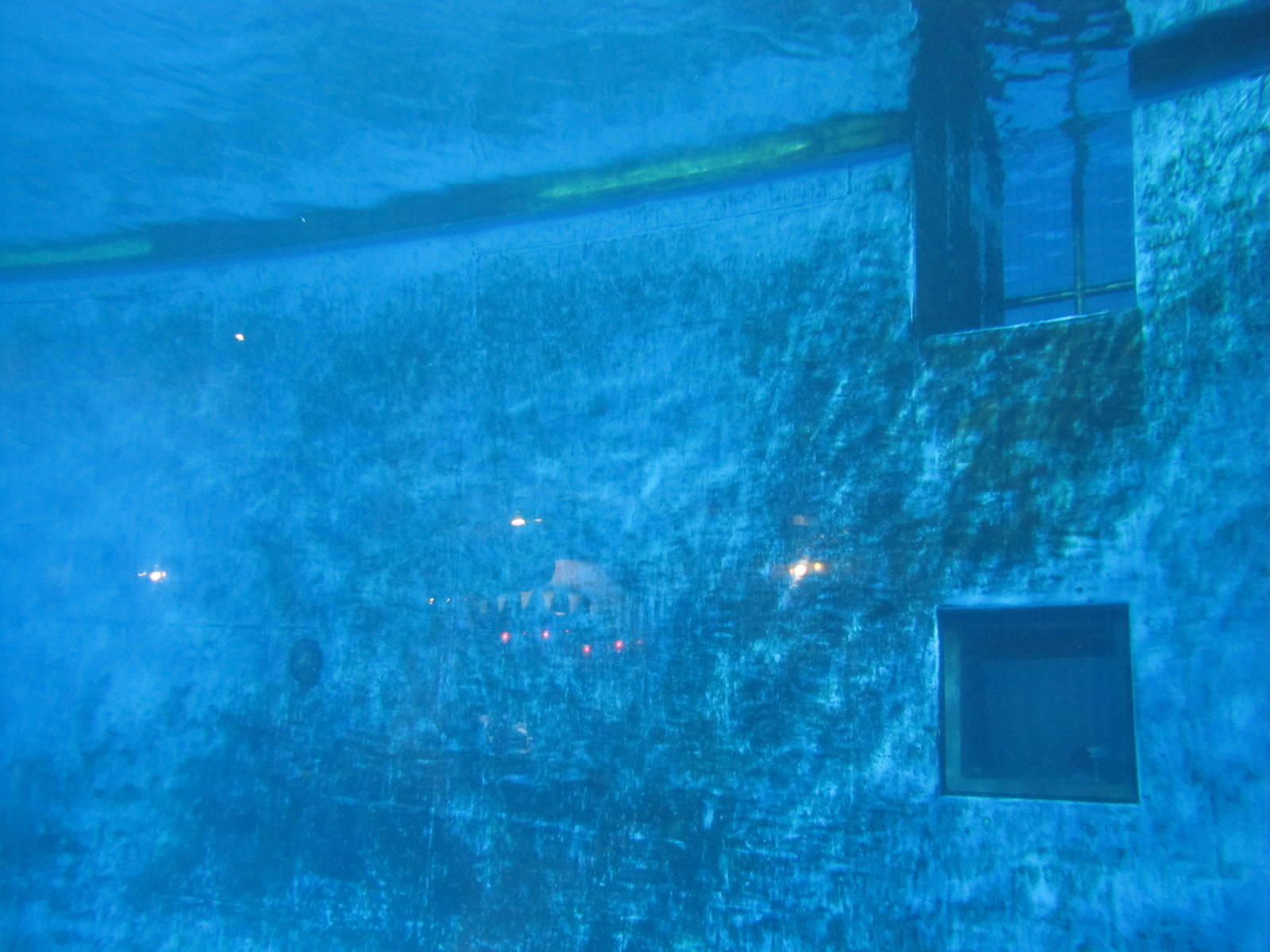 Minnesota Zoo 2010 - Underwater view of Dolphin pool in Discovery Bay