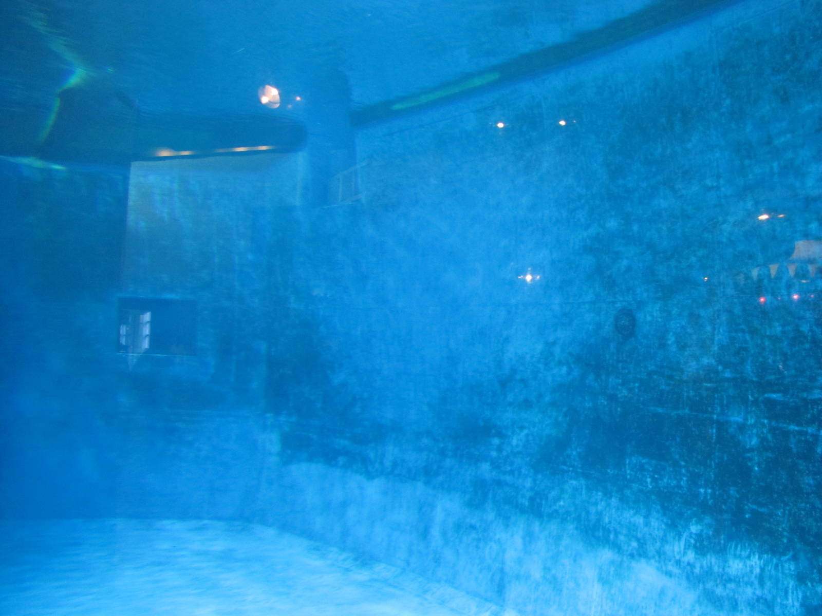 Minnesota Zoo 2010 - Underwater view of Dolphin pool in Discovery Bay
