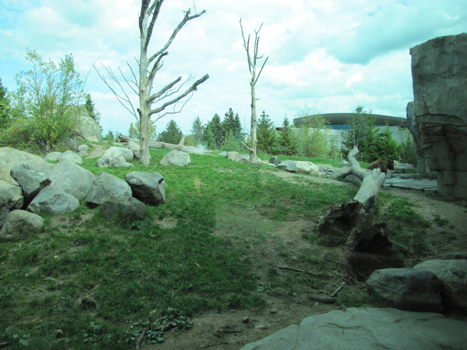 Minnesota Zoo 2010 - View into Alaskan Brown Bear exhibit