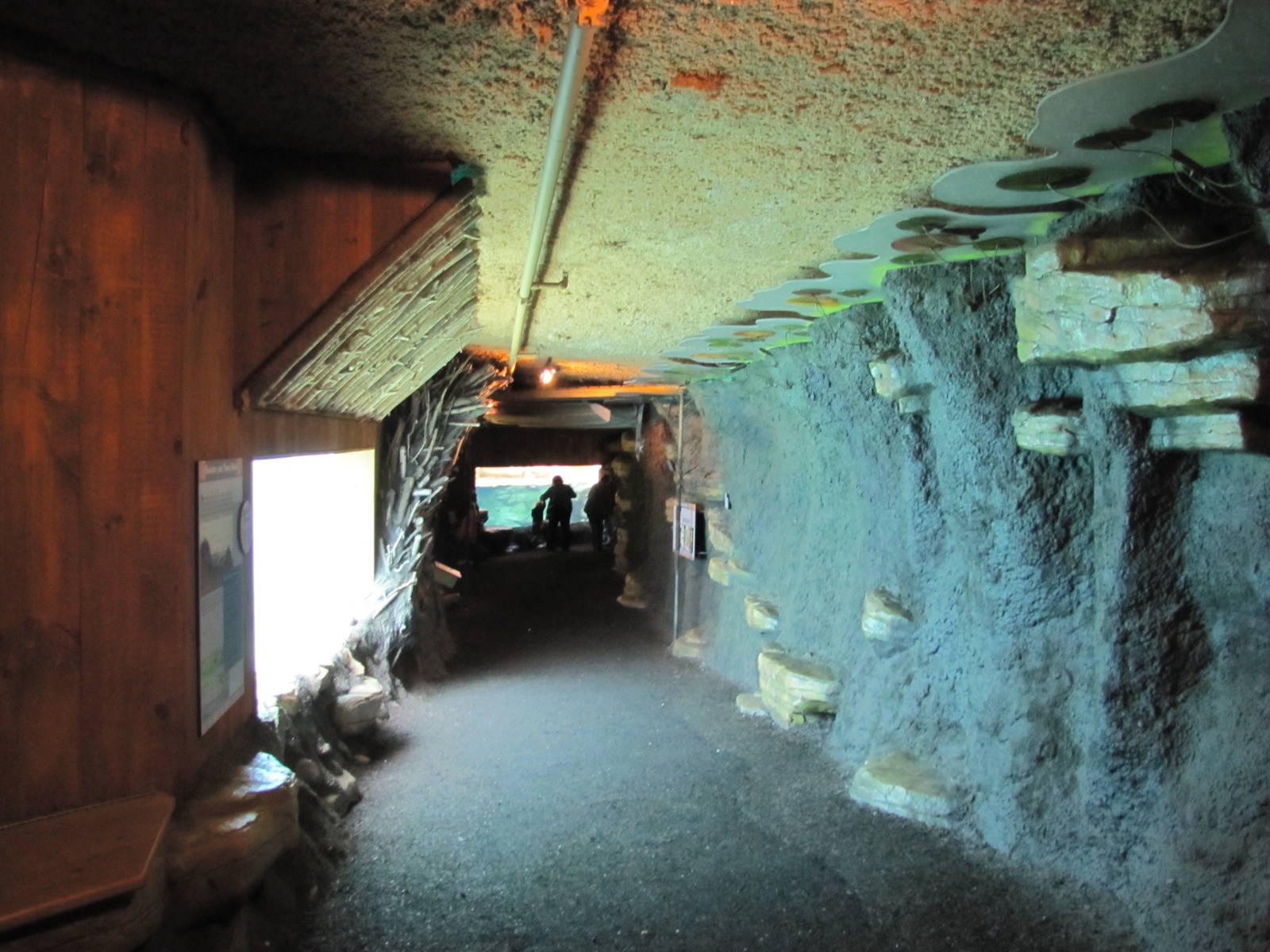 Minnesota Zoo 2010 - Visitor area inside Minnesota Trail