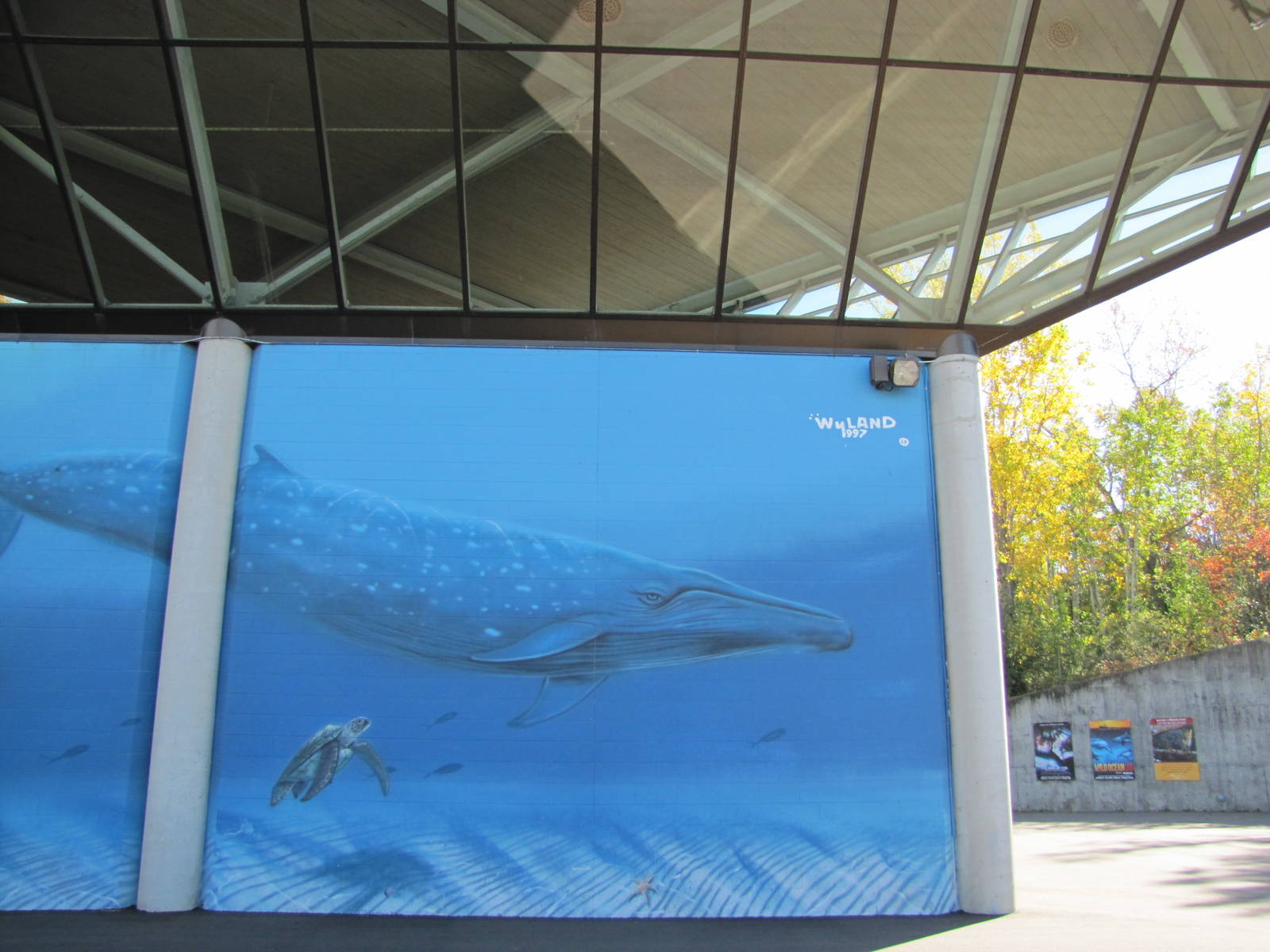 Minnesota Zoo 2010 - Whale painting on the side of Tropics Trail