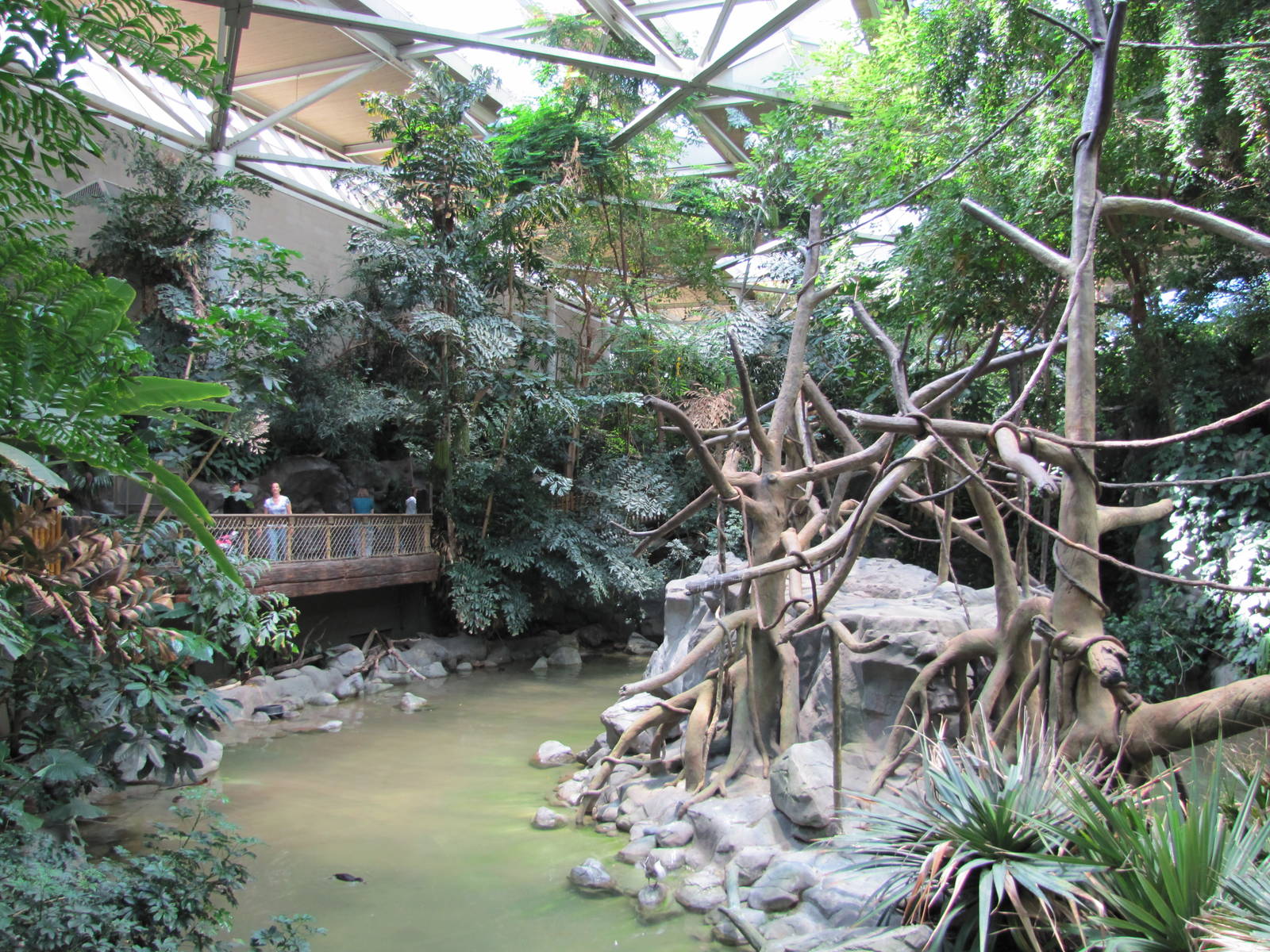 Minnesota Zoo 2010 - White-cheeked Gibbon Island seen from the other end