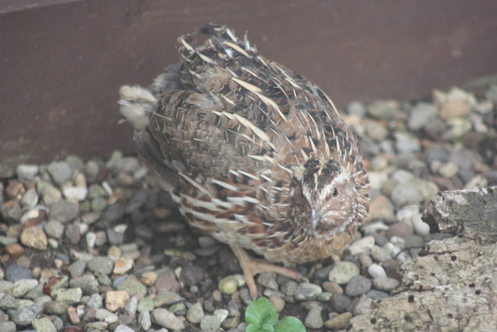 Minutes after arrival, 27th September 2014