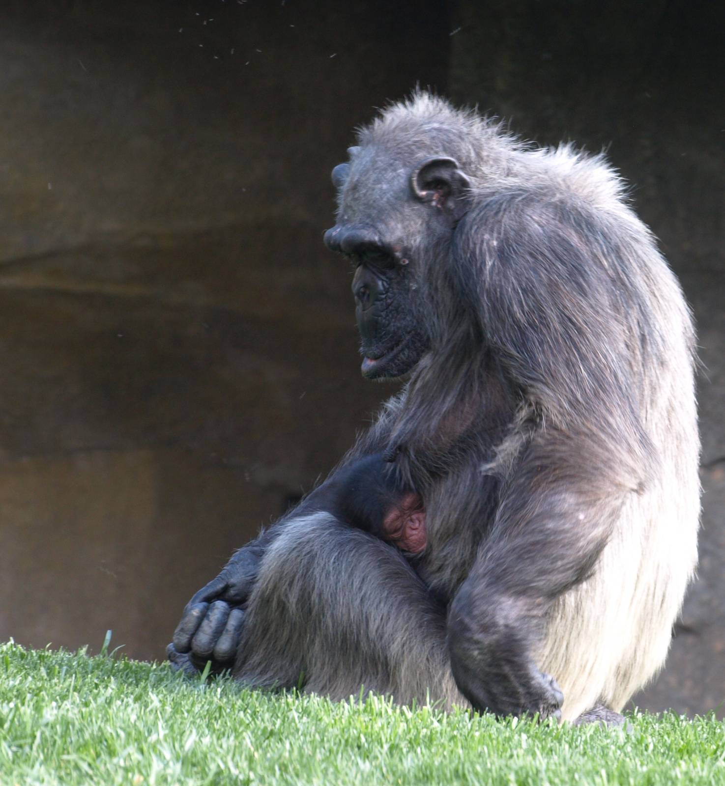 Mirinda & and her new son