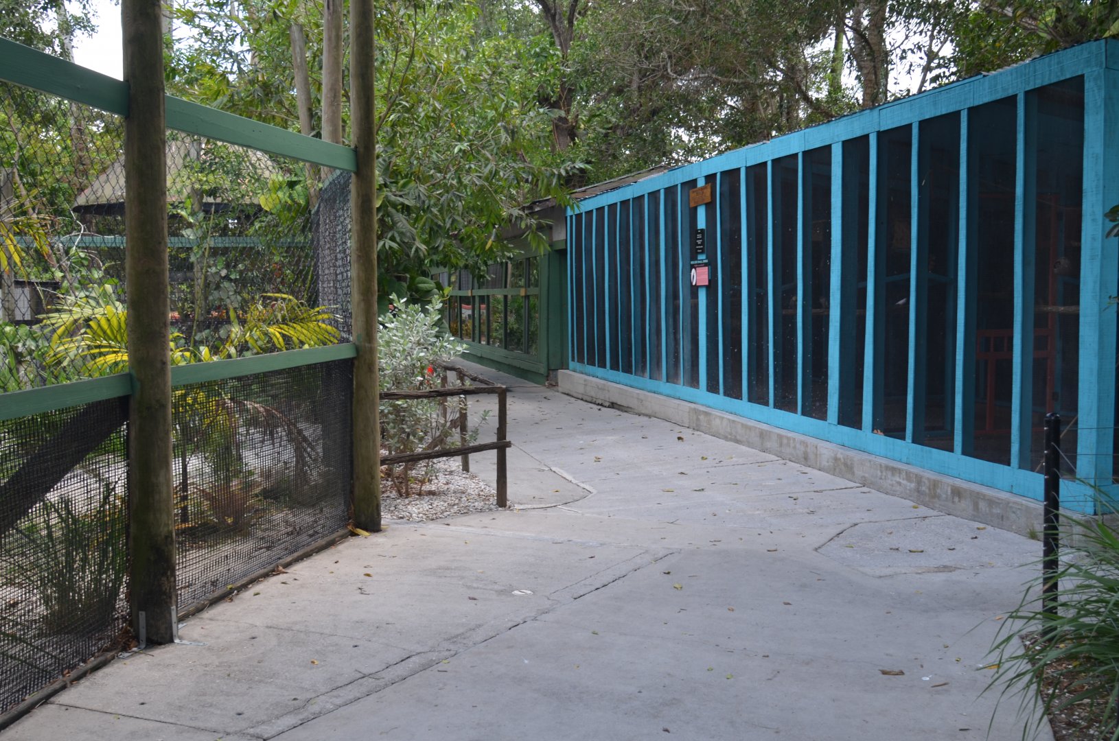 Misc. Animal Housing: Gopher Tortoise, Asian Water Monitor, Rescued Birds, etc.