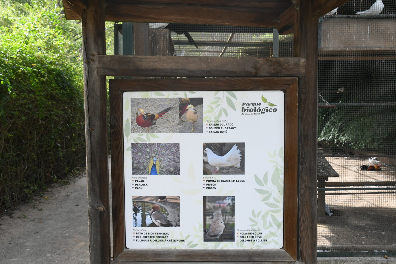 Misc. Birds exhibit