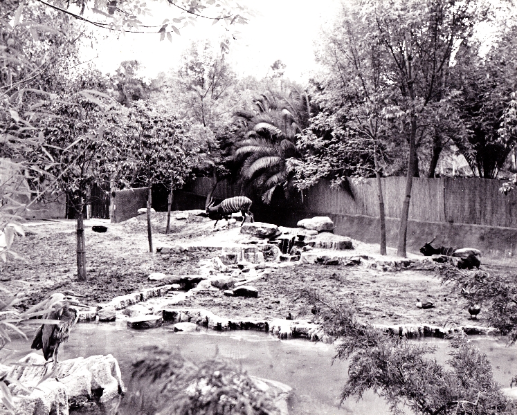 Misc exhibits in the 70's