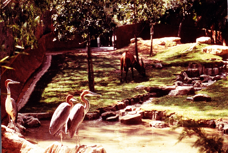 Misc exhibits in the 70's