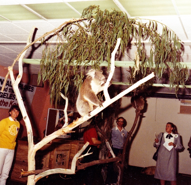 Misc exhibits in the 70's