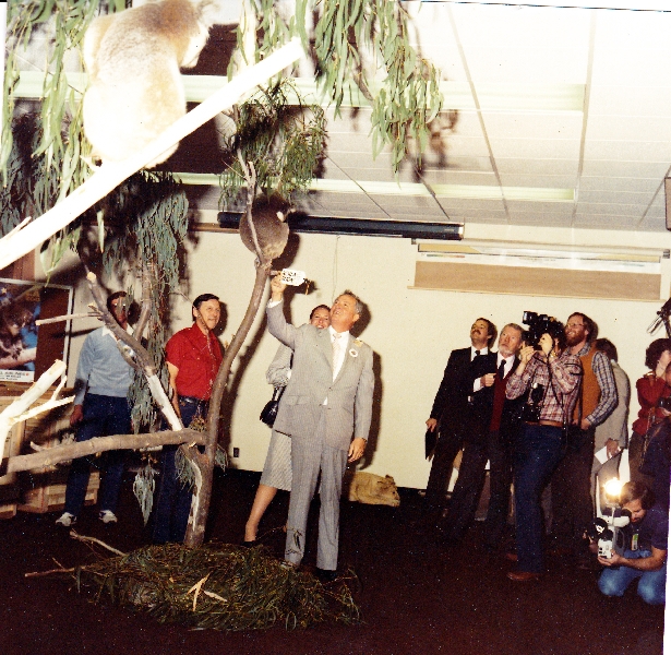 Misc exhibits in the 70's