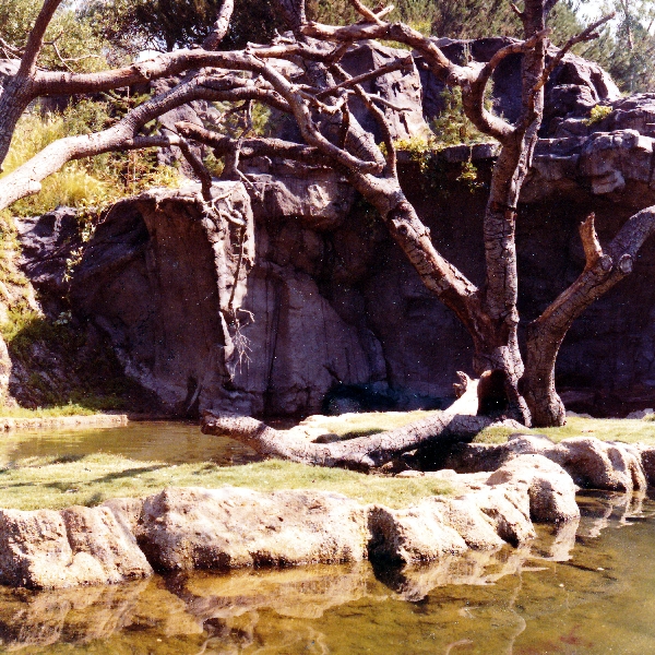 Misc exhibits in the 70's