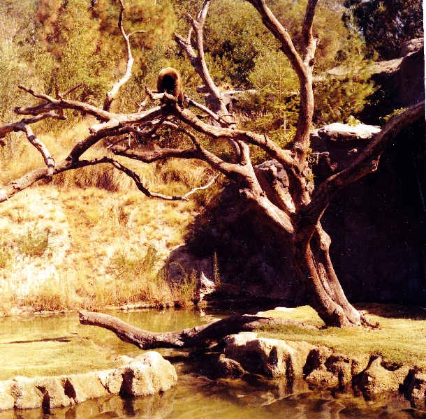 Misc exhibits in the 70's